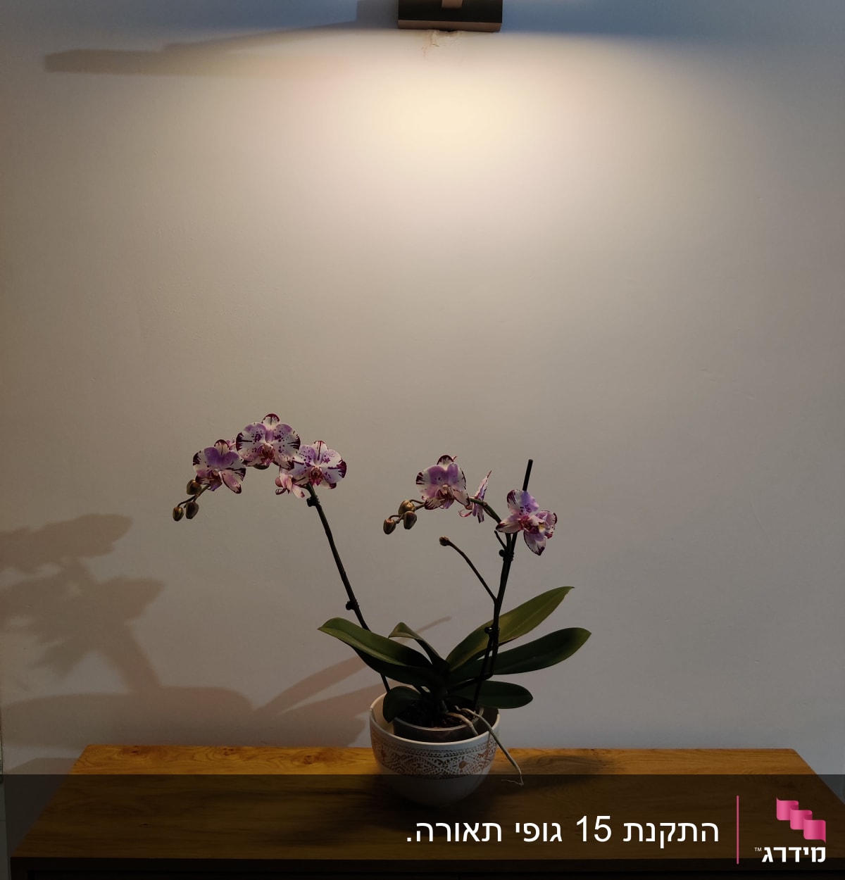 מנורת קיר דולקת מעל שולחן עץ